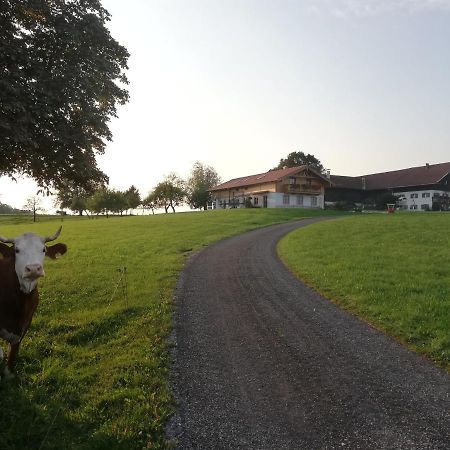 Sonnenhub Lägenhet Irschenberg Exteriör bild