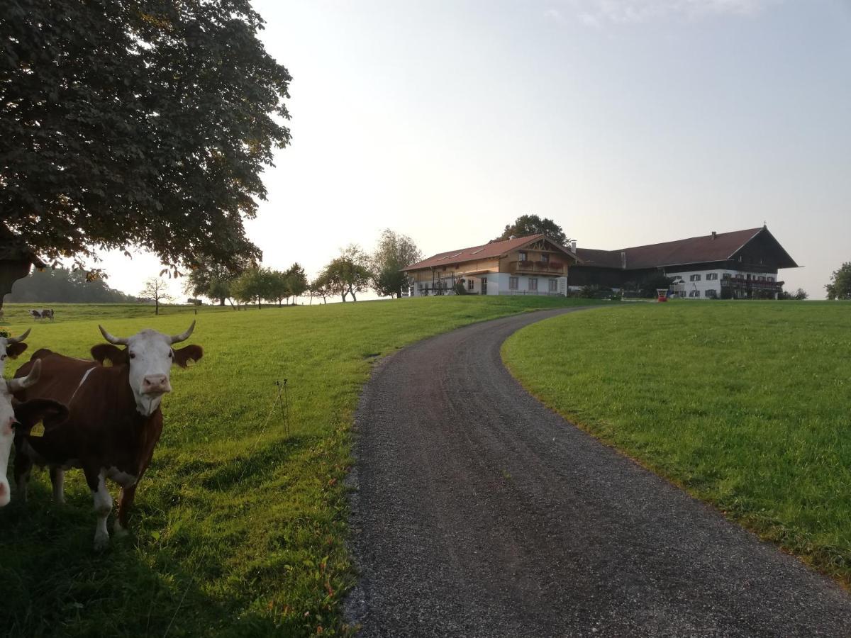 Sonnenhub Lägenhet Irschenberg Exteriör bild